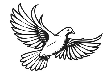 white dove flying