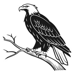 eagle on a branch