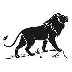 lion vector illustration