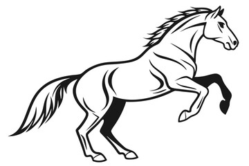 horse illustration