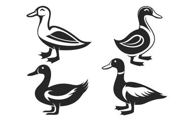 set of ducks