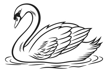 Obraz premium black swan vector