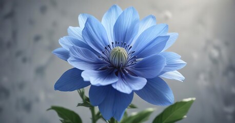 Obraz premium A delicate blue flower with an enormous show-stopping center blossom, greenery, leafy, delicate flowers