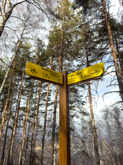 A yellow wooden directional signpost in a forest with arrows pointing to hiking trails. Bare trees...
