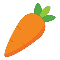 carrot vector Illustration on white background