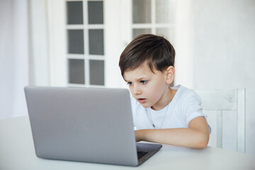 Boy studying playing on laptop online at desk in office