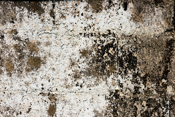 Abstract texture and form on  plan