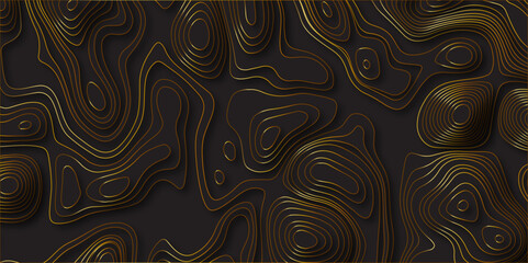 Abstract design with black and white abstract papercut and multi-layer cutout geometric pattern on vector Topographic canyon geometric map relief texture with curved layers beautiful design.	
