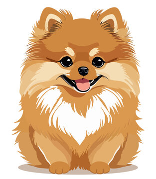 A cute puppy of a pomeranian Spitz breed. Redhead pom sitting with tongue hanging out. Funny sweet pup Zwergspitz. Flat vector illustration isolated on white background