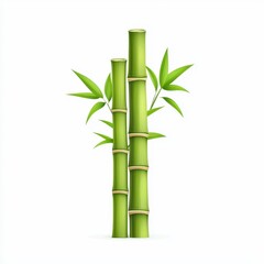 Obraz premium Lush Green Bamboo Stalks Surrounded by Vibrant Leaves on a Clean White Background