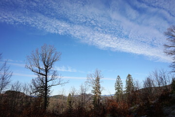 Rudawy Janowickie, Polska © Strumyk