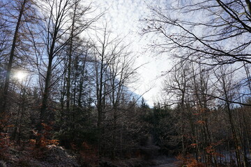 Rudawy Janowickie, Polska © Strumyk