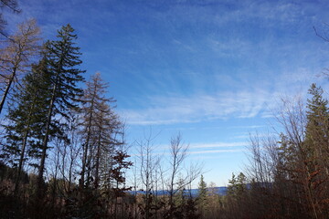 Rudawy Janowickie, Polska © Strumyk