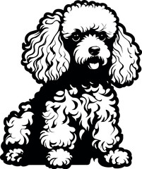 Poodle Dog Silhouette - Black Vector Cricut Design for T-Shirt Printing