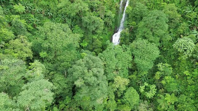 Aerial shot of Curug Cijalu ,beautiful hidden waterfall in green forest. Tropical mountain jungle waterfall in the tropical forest. Nature background