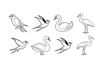 set of birds