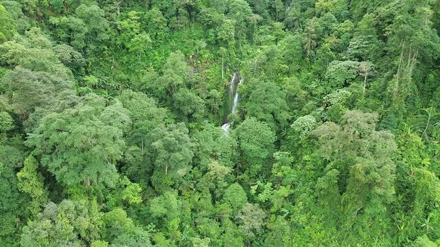 Aerial shot of Curug Cijalu ,beautiful hidden waterfall in green forest. Tropical mountain jungle waterfall in the tropical forest. Nature background