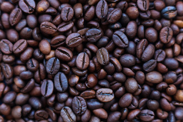 roasted coffee beans, can be used as a background or texture