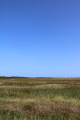Salt marshes on Spiekeroog in summer