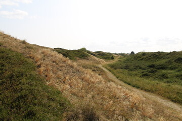 Heather landscape in the western interior part of the island of Spiekeroog
