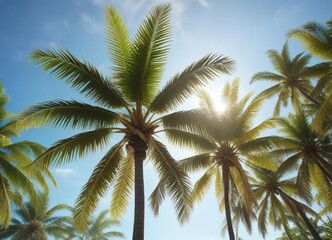 Coconut palm tree with a strong trunk and vibrant leaves against the clear blue sky with sun shining brightly, summer season , natural scenery
