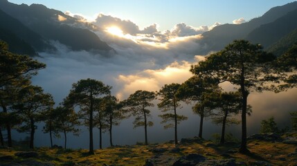 Majestic Sunrise Over Misty Mountains