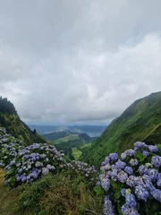 Fototapete Rund Azores landscape with hydrangea flowers © Sophie