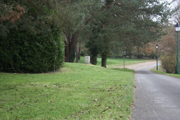 Picturesque rural park. Road through the park.
