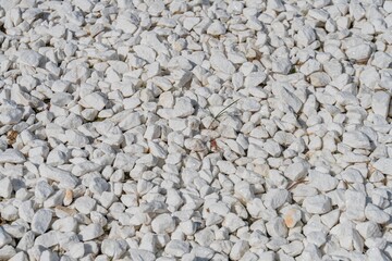 Image features a close-up of tightly packed, shiny gray and white pebbles on a surface The background is contrasting in color No texts or marks are visible