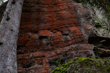 Budawang National Park, New South Wales, Australia.