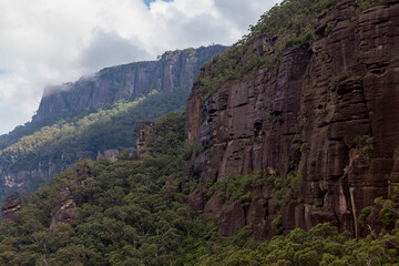 Budawang National Park, New South Wales, Australia.