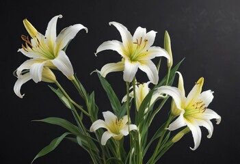 Fototapeta premium Freshly picked lily stems in shades of white and yellow, fresh, bouquet, flower