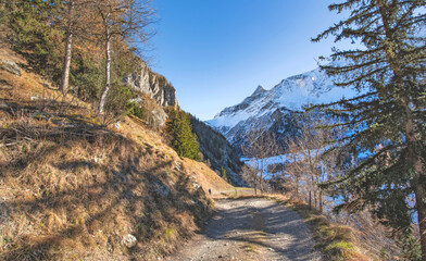 hiking trail in the park of Vanoise in the French Alps crossing forest and snowy mountain