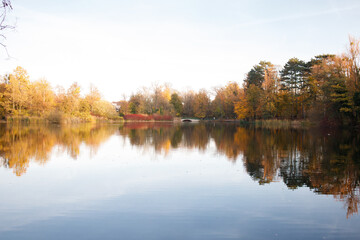Fototapeta premium Lake in Solacki park in autumn in Poznan, Poland