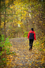 Fototapeta premium A middle-aged woman makes her way along a winding forest path, surrounded by the rich hues of autumn. Her sturdy backpack and trekking poles reflect a deep passion for adventure.