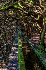 Hiking path along the historic levadas on the Levada das 25 Fontes hike on Madeira, Portugal.