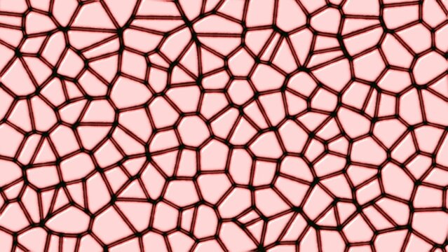 Mosaic Tiles Animated Background (Customizable)