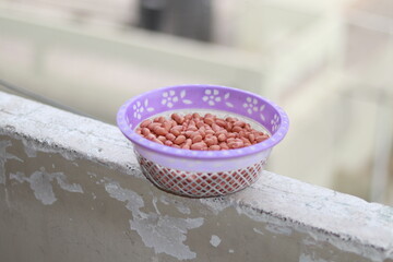 Peanut - Groundnut in plastic bowl