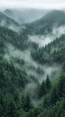 mountain forest nature, majestic mountainous forest, nature forest scenery, green forest nature scenery, green forest landscape