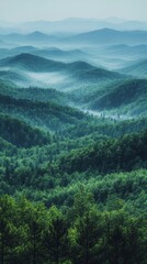 Naklejka premium Awe-Inspiring Mountain Range Panorama: A Misty Forest Landscape