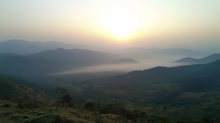 Obraz premium Misty Forest with Fog at Sunrise Nature Landscape