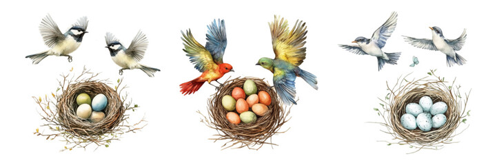 Watercolor couple of birds flying over a nest with eggs. Spring elements, watercolor birds. Hello spring, awakening of nature. Vector illustration