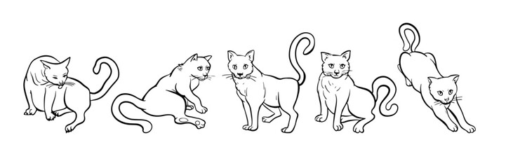 Set of cats in different poses. Free hand domestic pet illustration. Adorable feline animals, sleeping, sitting. Kitten stretches and washes. Trendy doodle collection. Sketch style crooked vector.