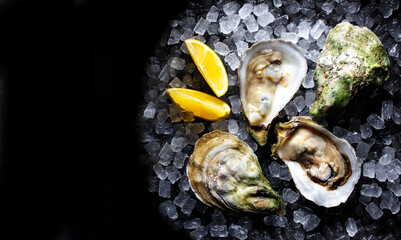 Fresh oysters with lemon on ice. Black background. Copy space. Top view.