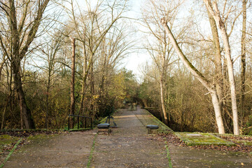 Footpath crossing middlesex filter beds nature reserve in london
