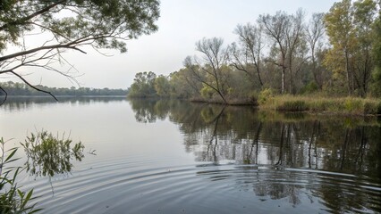 Water surface with delicate ripples and subtle reflections of surrounding trees, landscape, water surface, calm, lake, serene