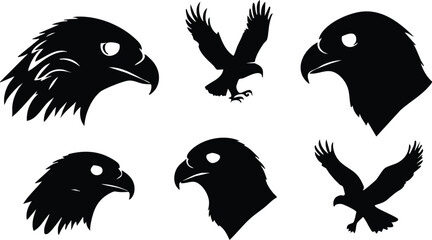 Minimalist Hawk Face Vectors for Modern Graphics
