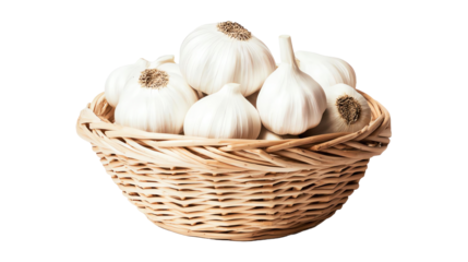 Fresh garlic bulbs in a wicker basket, white isolate background