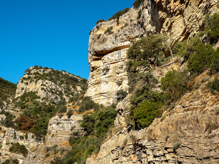 sheer rock face with green and red shrubs stands out against a clear blue sky