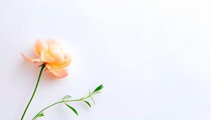 Vivid colorful flower isolated on a white background, ideal for poetry, song lyrics, and creative copy space in artistic compositions